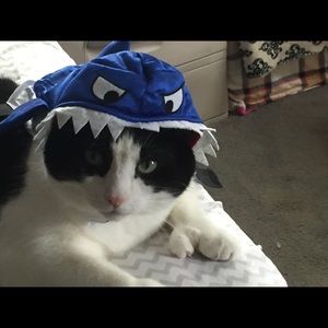 Meet your Posher, Bryan